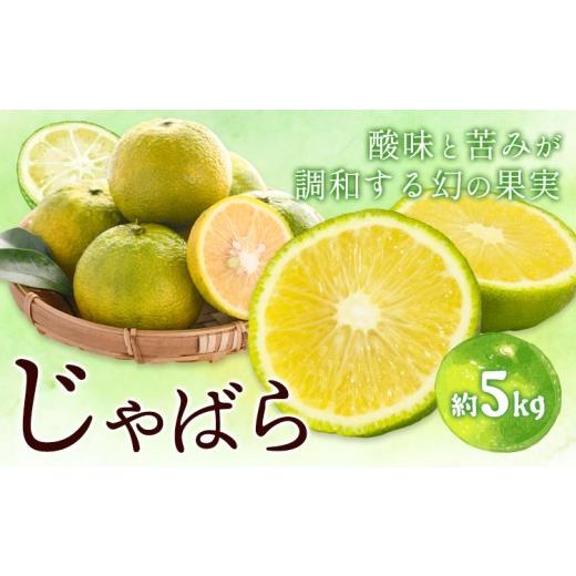 ふるさと納税 みかん・柑橘類 和歌山県 日高川町 じゃばら 約5kg どの坂果樹園[2026年10月下旬-2月上旬頃出荷]和歌山県 日高川町 柑橘類 旬 フルーツ 果物 …