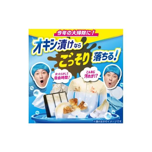 ふるさと納税 雑貨・日用品 東京都 品川区 オキシクリーン つめかえ用 1，000g×5個 1000g(粉末)×5個_2