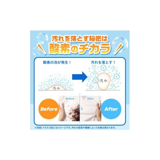 ふるさと納税 雑貨・日用品 東京都 品川区 オキシクリーン つめかえ用 1，000g×5個 1000g(粉末)×5個_7