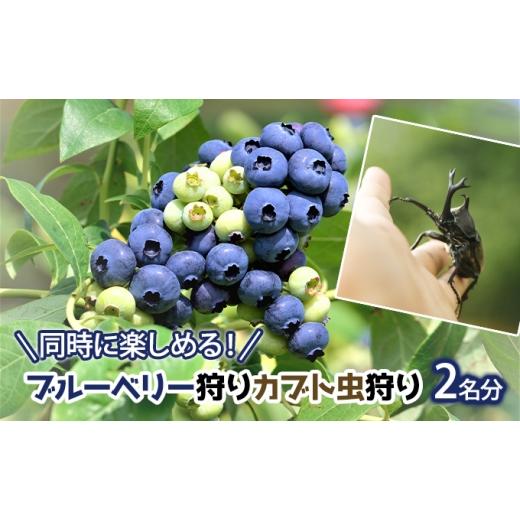 ふるさと納税 体験チケット 長野県 小諸市 同時に楽しめる ブルーベリー狩り・カブト虫狩り 長野県下最大級 体験チケット  