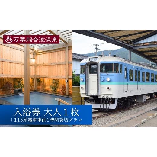 ふるさと納税 温泉・サウナ・スパ利用券 長野県 千曲市 万葉超音波温泉 入浴券(大人1枚)+115系電車車両1時間貸切プラン | 温泉 旅行 体験 温泉旅行 千曲市 長…