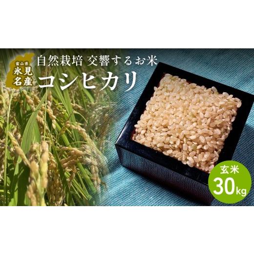 ふるさと納税 玄米 富山県 氷見市 交響するお米 / まとめ買い 玄米 自然栽培 コシヒカリ 30kg(15kg×2箱)富山県 氷見市 / 令和7年産 | 移住農家が里山か…