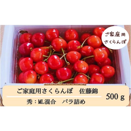 ふるさと納税 果物類 さくらんぼ 山形県 天童市 08-08-048 ご家庭用さくらんぼ(佐藤錦)500g