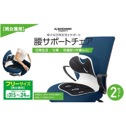 ふるさと納税 雑貨・日用品 大阪府 東大阪市 腰サポートチェア 2個セット