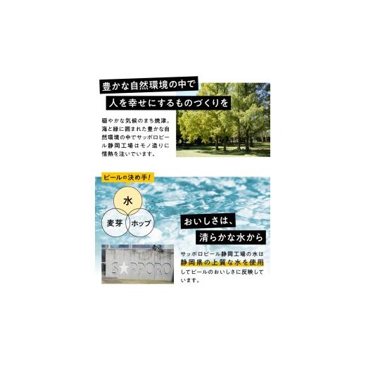 ふるさと納税 ビール 静岡県 焼津市 T0110-1009  定期便9回 エビス・エビスプレミアムエール 飲み比べ 350ml×各6本 合計12本の画像
