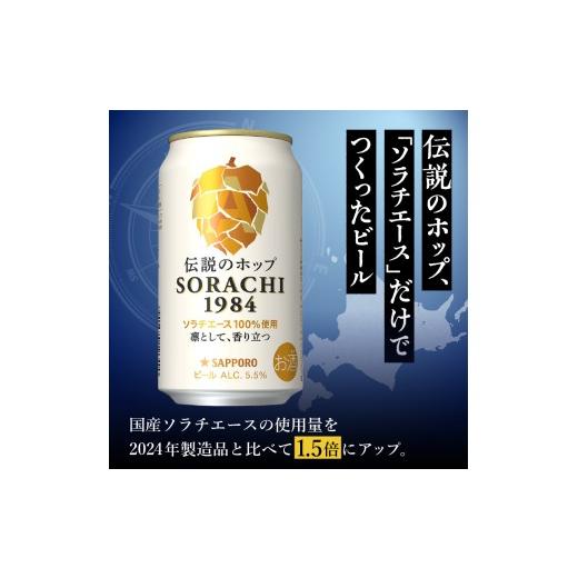 ふるさと納税 ビール 静岡県 焼津市 T0111-1009  定期便9回 サッポロ SORACHI 1984 ソラチ 350ml × 12本の画像