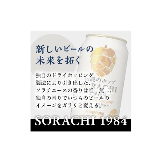 ふるさと納税 ビール 静岡県 焼津市 T0111-1009  定期便9回 サッポロ SORACHI 1984 ソラチ 350ml × 12本の画像
