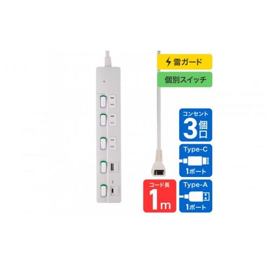 ふるさと納税 電化製品 大阪府 大東市 SW付USBタップ1m WLK-3221SUC(W)