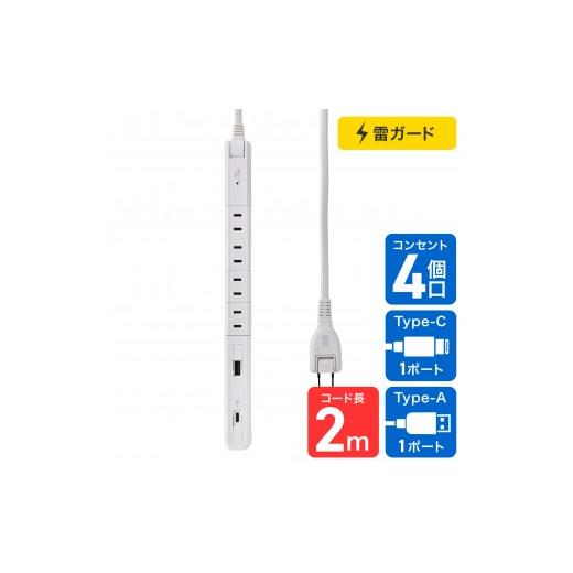 ふるさと納税 電化製品 大阪府 大東市 スリム回転USBタップ PD20W WB-SL4222SUC(W) 白