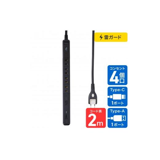 ふるさと納税 電化製品 大阪府 大東市 スリム回転USBタップ PD20W WB-SL4222SUC(BK) 黒