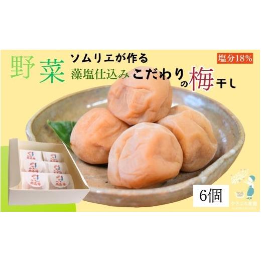 ふるさと納税 加工品等 梅干 和歌山県 みなべ町 塩分 18% 和歌山県 紀州南高梅 野菜ソムリエが作る藻塩仕込み こだわりの梅干し 6個入り
