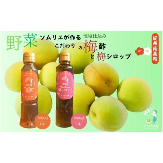 ふるさと納税 加工品等 梅干 和歌山県 みなべ町 藻塩仕込みの梅酢は数量限定 野菜ソムリエ仕込み 梅酢・梅シロップセット 紀州南高梅使用 200ml×各1本 kkbc0…