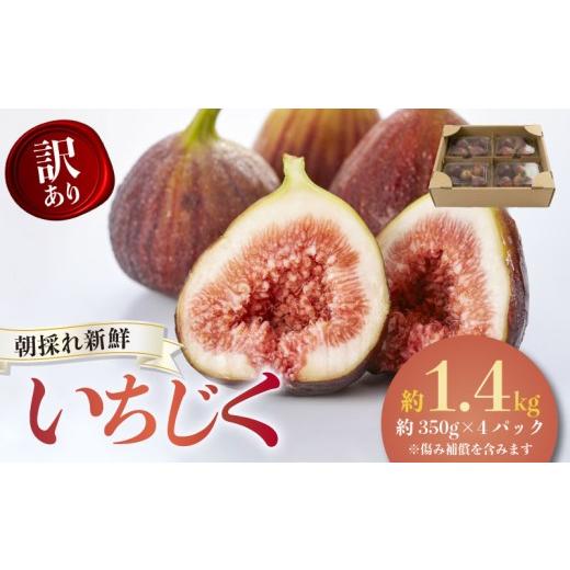 ふるさと納税 果物類 愛知県 南知多町 先行予約 2026年8月中旬~出荷 訳ありいちじく 約350g×4パック 計約1.4kg 冷蔵 果物 くだもの デザート 旬 贈答用 ギフ…