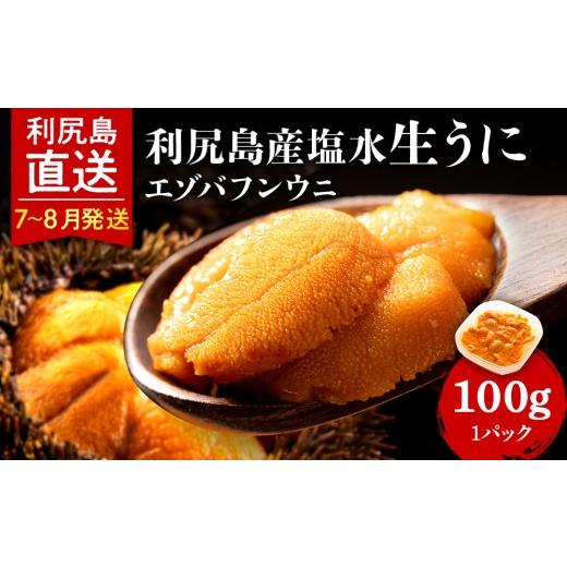 ふるさと納税 ウニ 北海道 利尻富士町 2026年7月〜8月発送予約 エゾバフンウニ 100g (100g×1パック) 利尻漁業協同組合