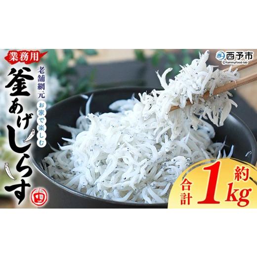 ふるさと納税 魚貝類 しらす 愛媛県 西予市 2026年8月に順次発送 老舗網元 お家で楽しむ 業務用 釜あげしらす(合計約1kg) 減塩 釜揚げ しらす シラス ちり…