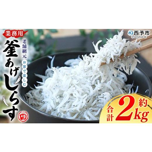 ふるさと納税 しらす・ちりめん 愛媛県 西予市 2026年8月に順次発送 老舗網元 お家で楽しむ 業務用 釜あげしらす(合計約2kg) 減塩 釜揚げ しらす シラス ち…