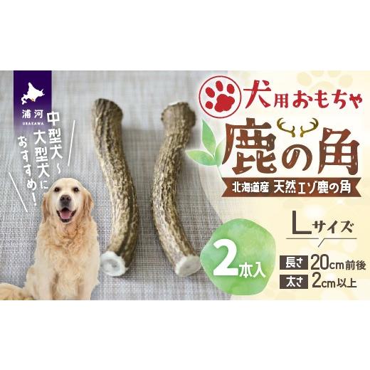 ふるさと納税 雑貨・日用品 玩具 北海道 浦河町 犬用「鹿の角」Lサイズ×2本