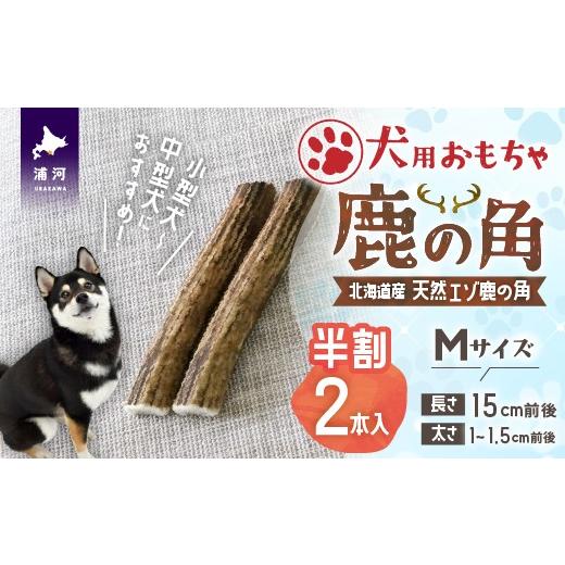 ふるさと納税 雑貨・日用品 玩具 北海道 浦河町 犬用「鹿の角(半割り)」Mサイズ×2本