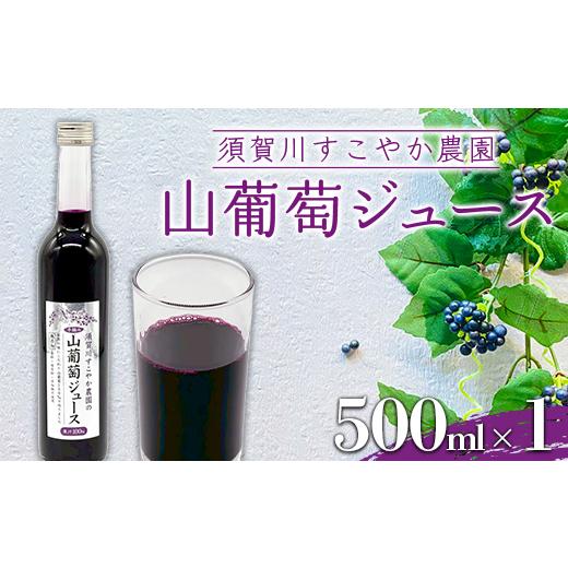 ふるさと納税 果汁飲料 ぶどう 福島県 須賀川市 山葡萄 100% 須賀川すこやか農園 山葡萄ジュース 500ml 1本 ブドウ ぶどう ジュース 飲み物 果汁飲料 飲料 F7…
