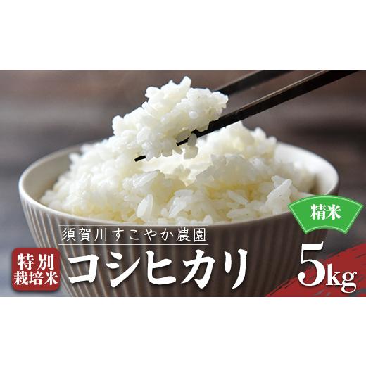 ふるさと納税 米 コシヒカリ 福島県 須賀川市 須賀川すこやか農園のコシヒカリ 精米 5kg 特別栽培米 コシヒカリ 米 お米 ブランド米 銘柄米 備蓄 日本米 こし…