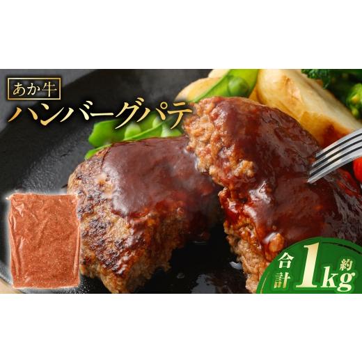 ふるさと納税 牛肉 ハンバーグ 熊本県 あさぎり町 あか牛ハンバーグ パテ 約1kg 赤身 冷凍 家庭料理 簡単調理 お肉 ニク にく 肉 牛肉 牛 あか牛 国産 熊本県…