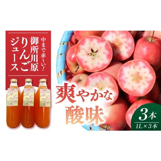 ふるさと納税 果汁飲料 りんご 青森県 五所川原市 御所川原 りんごジュース (1L×3本) / ストレート果汁100% 果肉まで赤〜いりんご「御所川原」使用 ごしょ…