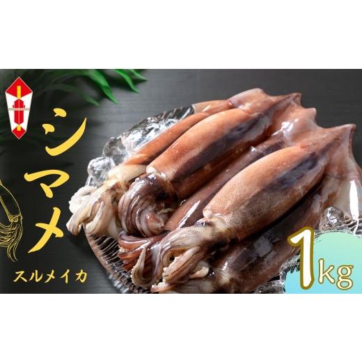 ふるさと納税 イカ 島根県 海士町 のし付き: 朝どれスルメイカ 丸ごと5~6本 スルメイカ シマメ 約1kg 冷凍 刺身 個包装 捌き方説明書付き( いか 烏賊 イカ …