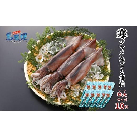 ふるさと納税 イカ 島根県 海士町 お徳用 特大10杯 胴だけで25cm前後 寒シマメ丸ごと凍結3.0kg 1杯300g スルメイカ 烏賊 お刺身 おつまみ いかそうめん 冷凍…