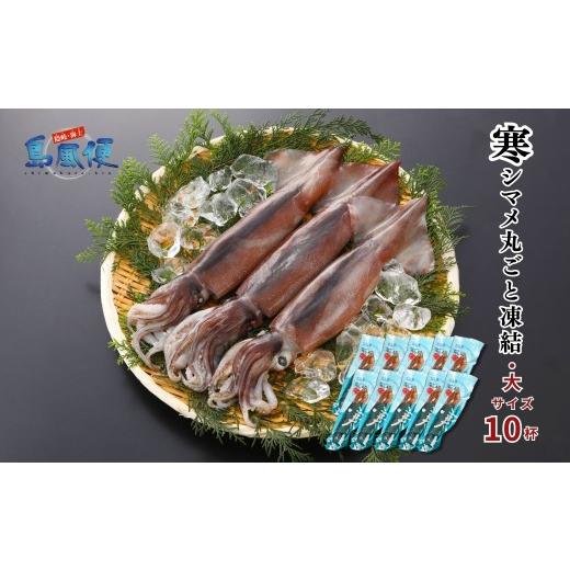 ふるさと納税 イカ 島根県 海士町 お徳用 大10杯 胴だけで23cm前後 寒シマメ丸ごと凍結2.5kg 1杯250g スルメイカ 烏賊 お刺身 おつまみ いかそうめん 冷凍 …