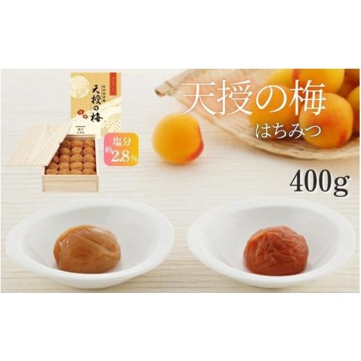 ふるさと納税 加工品等 梅干 和歌山県 みなべ町 塩分2.8% 天授の梅 はちみつ 400g(木箱入り)