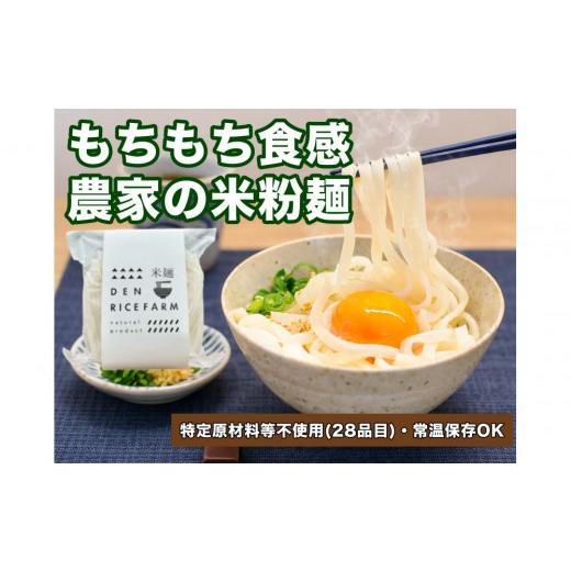 ふるさと納税 麺類 栃木県 大田原市 グルテンフリー 無添加 米麺 120g 10個セット(白米麺10個)|米粉 うどん 焼きそば パスタ 麺