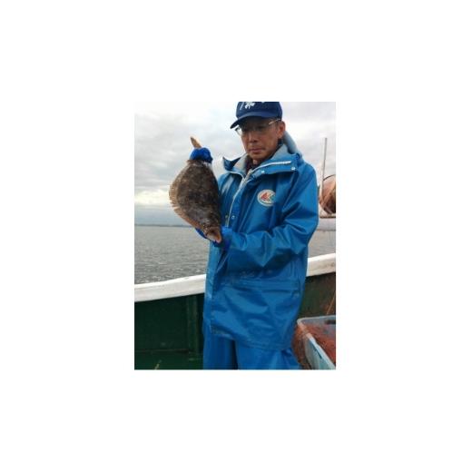 ふるさと納税 体験チケット 富山県 入善町 刺し網漁業体験(4名様分) 1718452