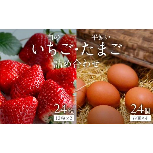 ふるさと納税 いちご 大阪府 泉南市 2026年12月下旬〜2027年5月発送予定 泉南市産 旬のいちごと平飼いたまごの詰め合わせ 配送不可地域:北海道・沖縄・離島 …