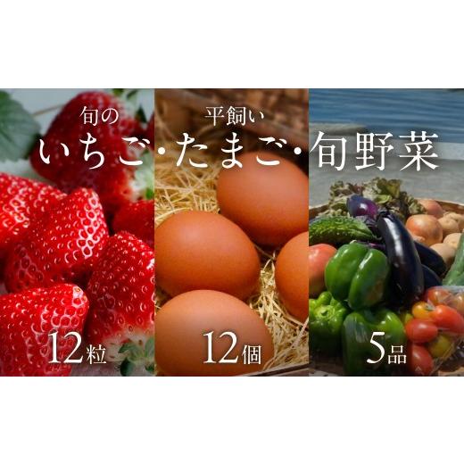 ふるさと納税 いちご 大阪府 泉南市 2026年12月下旬〜2027年5月発送予定 泉南市産 旬のいちご・平飼いたまご・旬野菜5品セット 配送不可地域:北海道・沖縄…