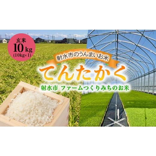 ふるさと納税 米 富山県 射水市 射水市 射水の美味しいお米 ファームつくりみちのお米 作道米 R8年度産てんたかく10kg(10kg×1) 玄米 |米 こめ コメ てん…