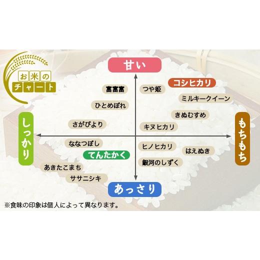 ふるさと納税 米 コシヒカリ 富山県 射水市  3ヶ月定期便 射水市 射水の美味しいお米 ファームつくりみちのお米 作道米 R8年度産こしひかり10kg（10kg×1） 玄…の画像