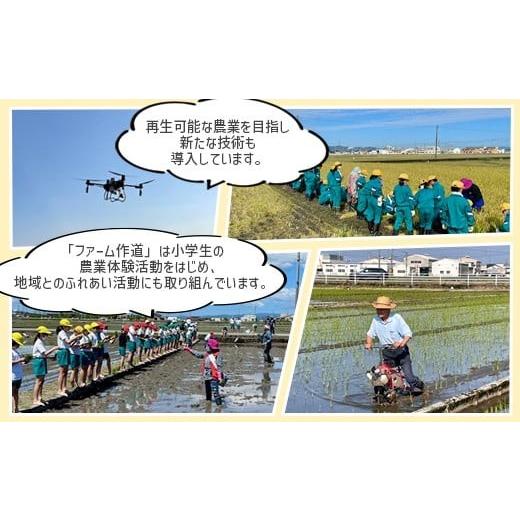 ふるさと納税 米 コシヒカリ 富山県 射水市  3ヶ月定期便 射水市 射水の美味しいお米 ファームつくりみちのお米 作道米 R8年度産こしひかり10kg（10kg×1） 玄…の画像