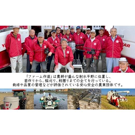 ふるさと納税 米 コシヒカリ 富山県 射水市  3ヶ月定期便 射水市 射水の美味しいお米 ファームつくりみちのお米 作道米 R8年度産こしひかり10kg（10kg×1） 玄…の画像