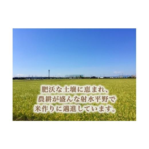 ふるさと納税 米 コシヒカリ 富山県 射水市  3ヶ月定期便 射水市 射水の美味しいお米 ファームつくりみちのお米 作道米 R8年度産こしひかり10kg（10kg×1） 玄…の画像