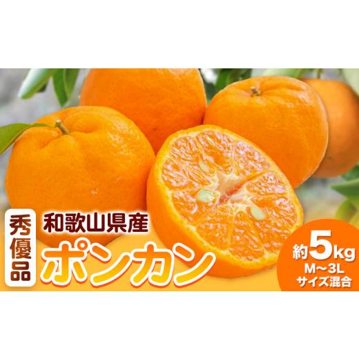 ふるさと納税 みかん・柑橘類 和歌山県 日高町 和歌山県産ポンカン 約 5kg 秀優品 (M〜3Lサイズ混合) 厳選館 [2月上旬-3月上頃出荷]和歌山県 日高町 柑橘 ポ…