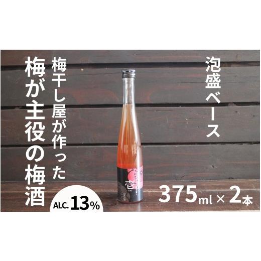 ふるさと納税 お酒 和歌山県 みなべ町 壱〜ICHI〜 泡盛梅酒 375ml×2本/アルコール分:13度 maruni032