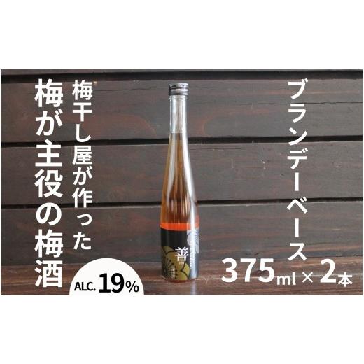 ふるさと納税 お酒 和歌山県 みなべ町 善〜ZEN〜 ブランデー梅酒 375ml×2本/アルコール分:19度 maruni033