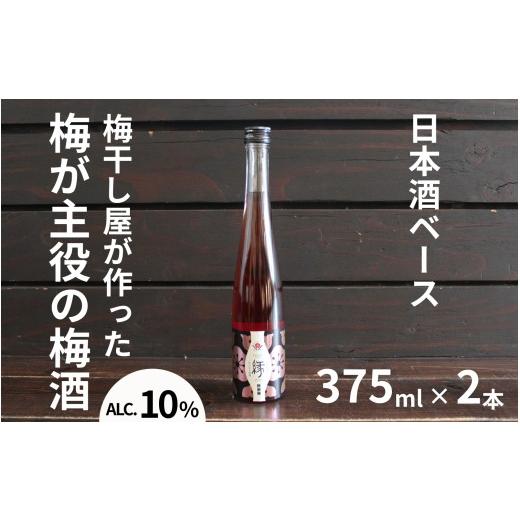 ふるさと納税 お酒 和歌山県 みなべ町 縁〜ENISHI〜 日本酒梅酒 375ml×2本/アルコール分:10度 maruni034