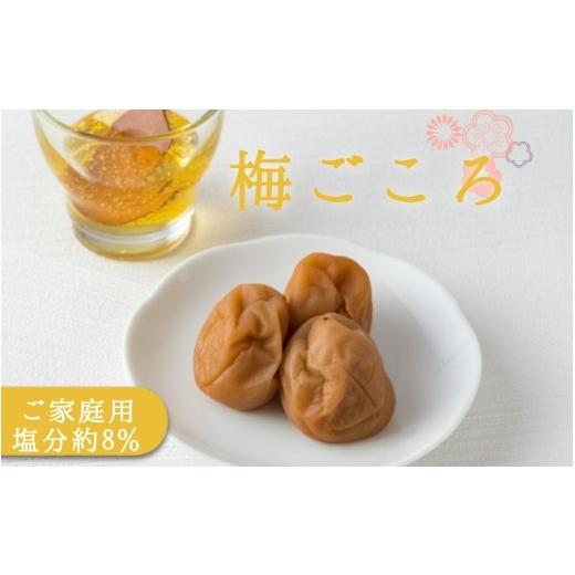 ふるさと納税 加工品等 梅干 和歌山県 みなべ町 ご家庭用梅干し 梅ごころ 500g / みなべ町 梅干 うめぼし ウメ はちみつ梅 はちみつ入り はちみつ漬け 家庭…