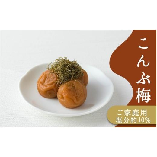ふるさと納税 加工品等 梅干 和歌山県 みなべ町 ご家庭用梅干し こんぶ梅 500g / みなべ町 梅干 うめぼし ウメ 昆布梅 こんぶ漬け 家庭用 紀州南高梅 南高…