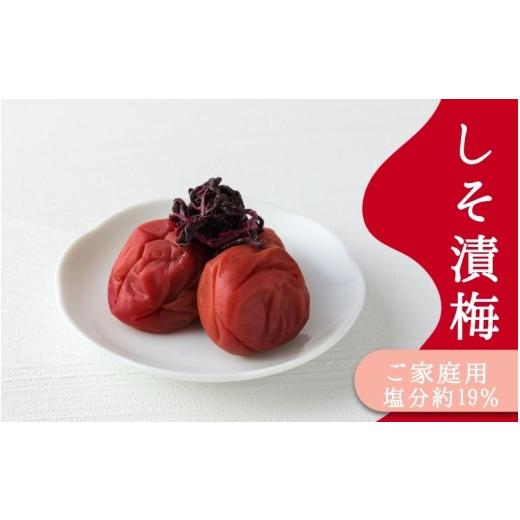 ふるさと納税 加工品等 梅干 和歌山県 みなべ町 ご家庭用梅干し しそ漬け 500g / みなべ町 梅干 うめぼし ウメ しそ梅 紫蘇漬け 家庭用 紀州南高梅 南高梅 …