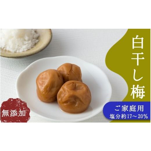 ふるさと納税 加工品等 梅干 和歌山県 みなべ町 ご家庭用梅干し 無添加白干し梅 1kg(500g×2) / みなべ町 梅干 うめぼし ウメ 白干し梅 白梅 家庭用 紀州南…