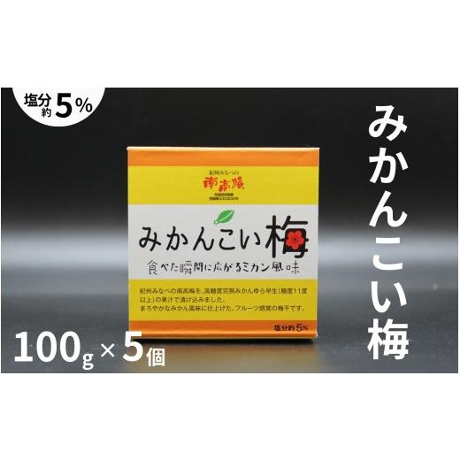 ふるさと納税 加工品等 梅干 和歌山県 みなべ町 みかんこい梅 100g×5個/塩分約5% 紀州南高梅 みかん風味 maruni046