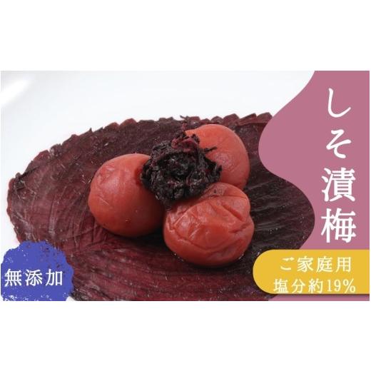 ふるさと納税 加工品等 梅干 和歌山県 みなべ町 ご家庭用梅干し 無添加しそ漬け梅 1kg(500g×2) / みなべ町 梅干 うめぼし ウメ しそ梅 紫蘇漬け梅 家庭用 …