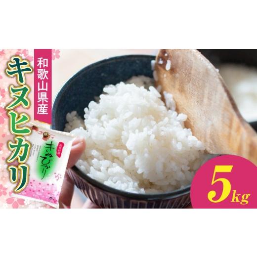 ふるさと納税 米 和歌山県 湯浅町 BB6233_和歌山県産キヌヒカリ 5kg(2025年産)